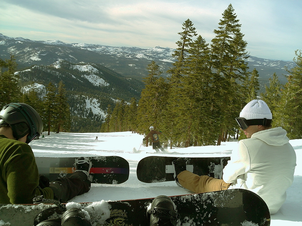 Shred.